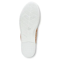 Vionic Pismo X Proteus Online