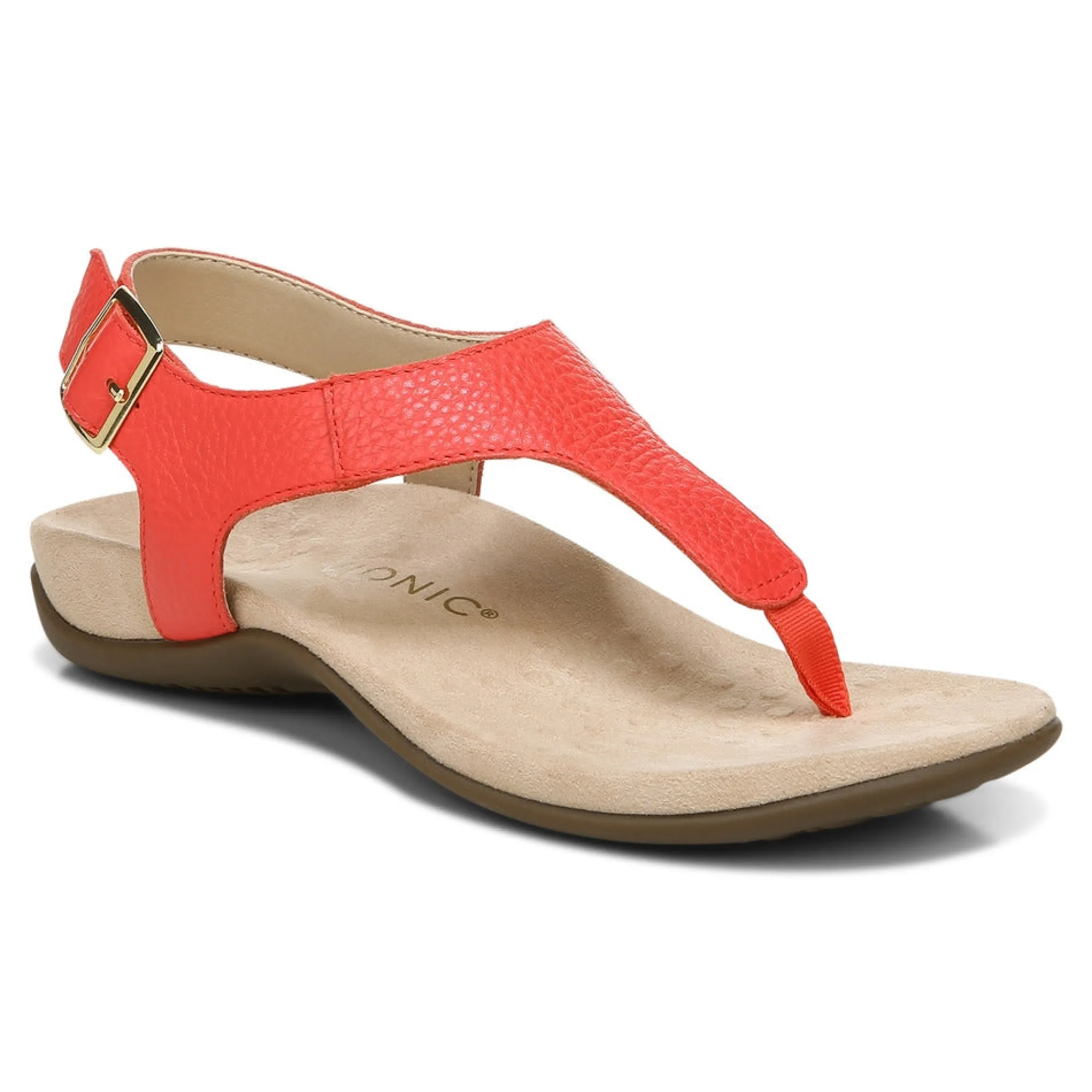 Vionic Terra Sandal Outlet